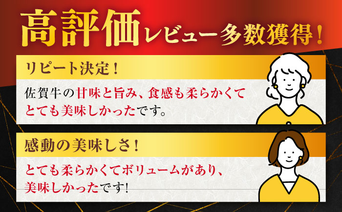 【2026年2月発送】佐賀牛 ヒレ ステーキ 600g【桑原畜産】 [NAB077] 牛肉 佐賀県産 黒毛和牛 ヒレステーキ フィレ ヘレ