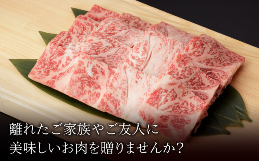 佐賀和牛 ロース 焼肉用 700g 【一ノ瀬畜産】 [NAC013] 牛肉 佐賀県産 黒毛和牛 焼肉 BBQ バーベキュー