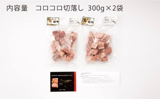 【3回定期便】 佐賀和牛 コロコロ 切落し 600g (300g×2P) 【一ノ瀬畜産】 [NAC107] 牛肉 佐賀県産 黒毛和牛 切り落とし きりおとし 定期便