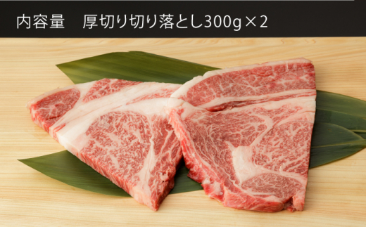 【12回定期便】 佐賀和牛 ロース 厚切り 切落し 600g (300g×2P) 【一ノ瀬畜産】 [NAC127] 牛肉 佐賀県産 黒毛和牛 焼肉 BBQ バーベキュー 定期便