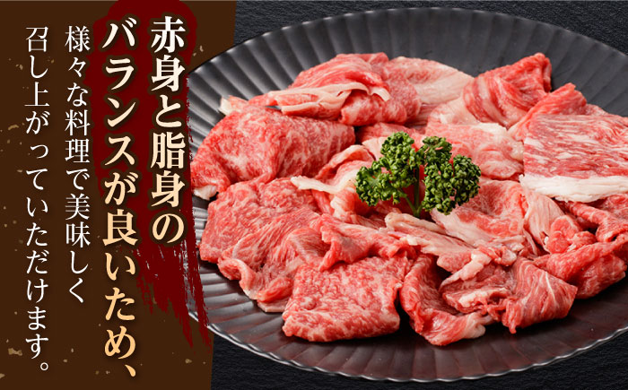 【6回定期便】佐賀和牛 切り落とし 計500g(250g×2p)【一ノ瀬畜産】 [NAC163] 佐賀県産 黒毛和牛 牛肉 きりおとし 定期便