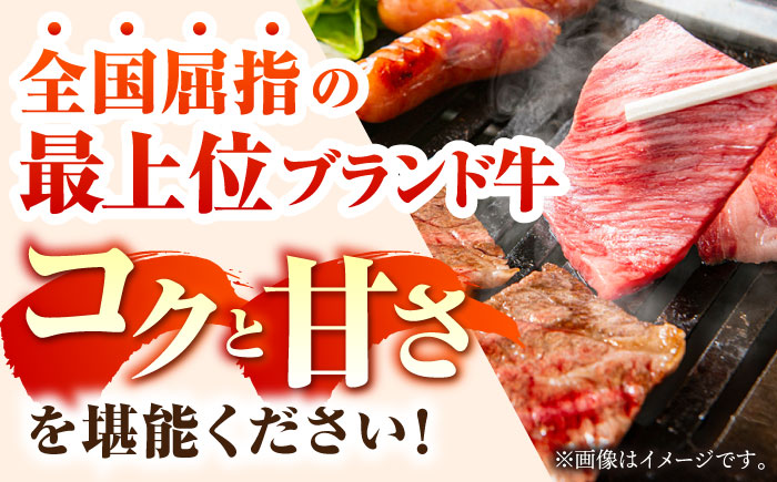【ANA限定】【6回定期便】佐賀牛・佐賀和牛 食べつくし定期便 プレミアムコース【一ノ瀬畜産】 [NAC206] 牛肉 佐賀県産 黒毛和牛 食べくらべ たべくらべ ステーキ 焼肉 焼き肉 BBQ バーベキュー すき焼き すきやき しゃぶしゃぶ 鍋 定期便