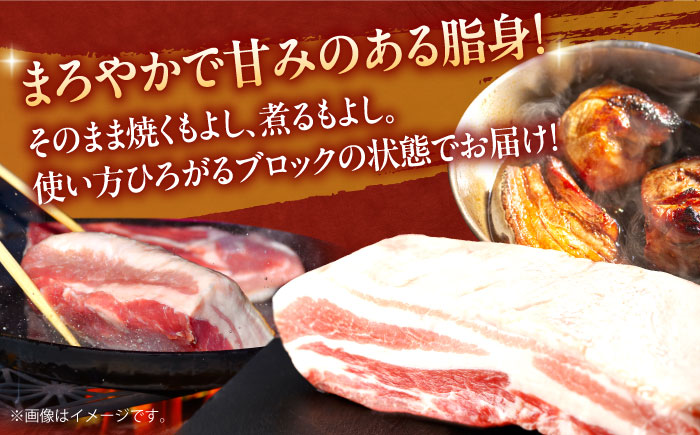 【12回定期便】肥前さくらポーク バラ肉 ブロック 総計9kg【一ノ瀬畜産】 [NAC615] 豚肉 バラ バラ肉 ブロック チャーシュー ステーキ