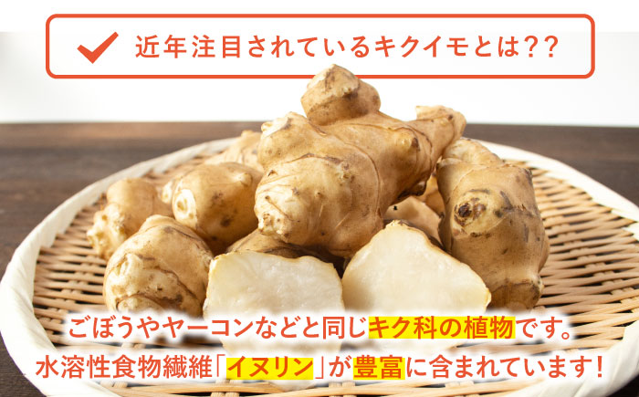 嬉野市産キクイモ チップス・パウダー 2点セット【吉田まんぞく館】 [NAG009]