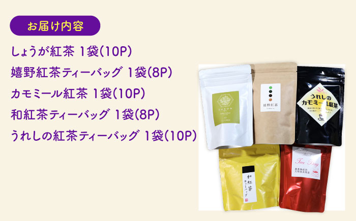 うれしの紅茶 5種 飲み比べセット B【うれしの紅茶振興協議会】 [NAP006]