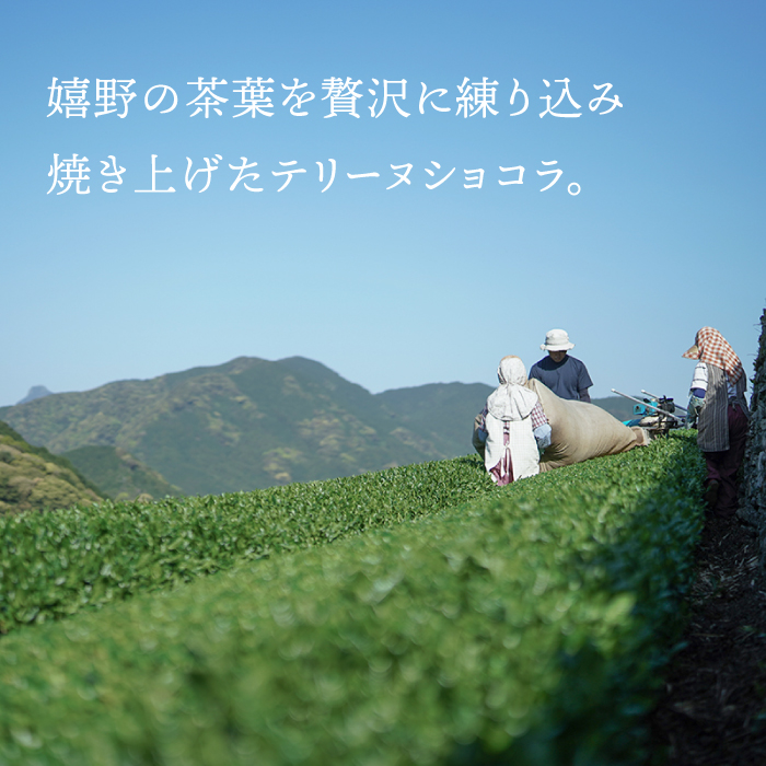 『茶畑TerrineChocolat』 【spica】 [NBM001] 菓子 お菓子 スイーツ デザート チョコレート テリーヌショコラ 茶 うれしの茶 抹茶スイーツ