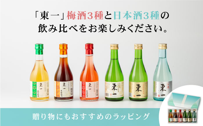 東一 飲み比べセットA (梅酒・日本酒) 300ml6本 【嬉野酒店】 [NBQ009］酒 梅酒 日本酒 飲みくらべ