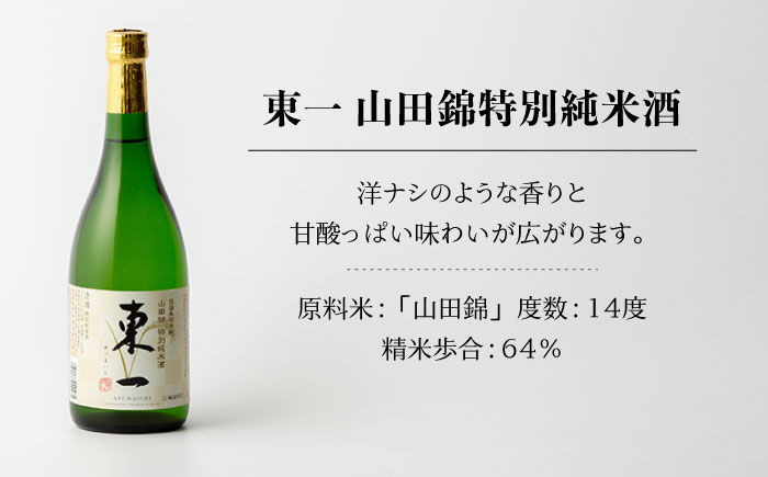 【6回定期便】東一 山田錦特別純米酒 1.8L 1本 【嬉野酒店】 [NBQ114] 五町田酒造 日本酒 酒