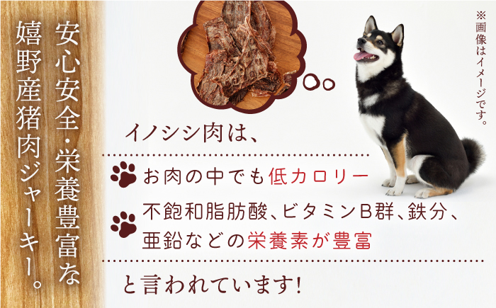 イノチップス 3袋セット【太田製作所】 [NCF002]