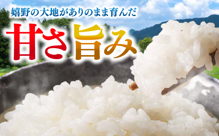 ARINOMAMA RICE 佐賀県嬉野市産 夢しずく 5kg(2.5kg×2)【ありのまま春日】 [NCK003]
