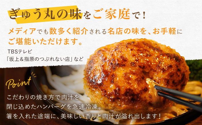 【6回定期便】〈メディア紹介多数〉ぎゅう丸の人気ハンバーグ 3種 バラエティ セット 総計54個【ぎゅう丸】 [NCQ102] ハンバーグ 名店 デミシチュー 和風 オニオン 食べくらべ ギフト