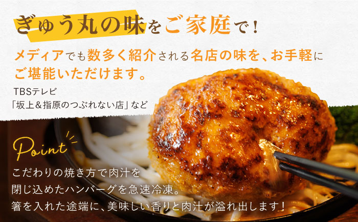 【12回定期便】〈メディア紹介多数〉ぎゅう丸のオニオンソースハンバーグ 総計48個セット【ぎゅう丸】 [NCQ115] ハンバーグ 名店 オニオンソース