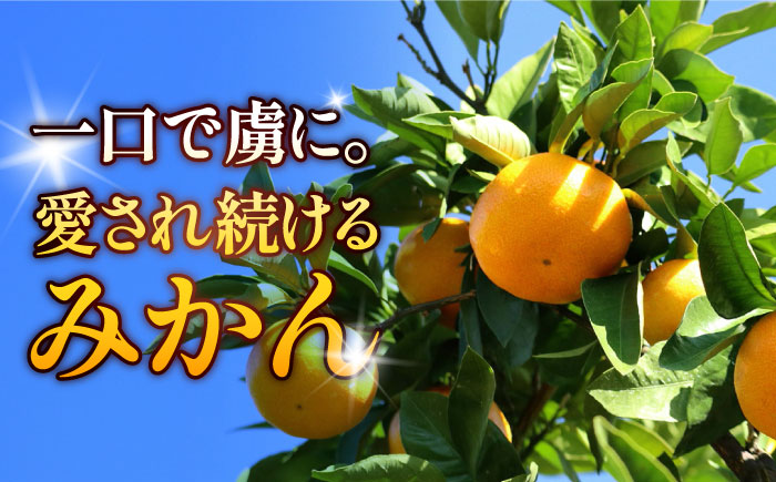 【先行予約】佐賀みかん「さが美人」 5㎏ 【JAさが】 [NCR002] みかん ミカン 蜜柑 温州みかん