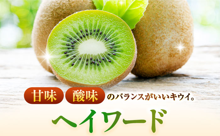 【先行予約】佐賀県産キウイフルーツ 「ヘイワード」　3.6㎏ 【JAさが】 [NCR003] キウイ キウイフルーツ