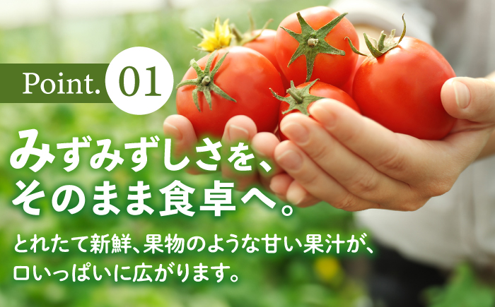 佐賀県産 トマト 4kg 【JAさが】 [NCR004]