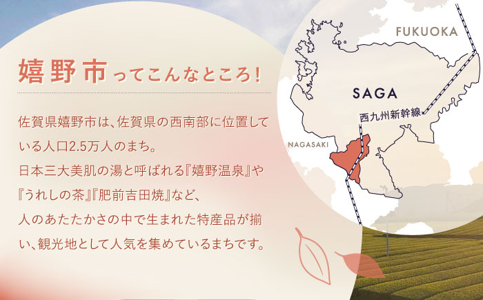 【返礼品なし】佐賀県嬉野市 まちづくり応援寄附金（500,000円分） [NZY975]