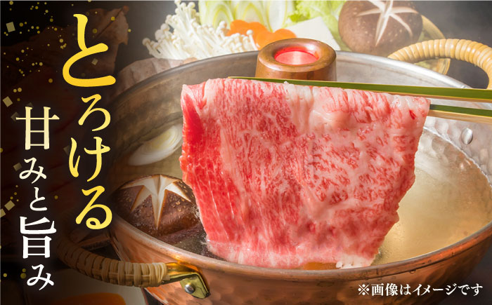【3回定期便】佐賀牛 A5 堪能セット (しゃぶしゃぶ すき焼き用 ・ 焼肉用) 計800g(400g×2P) 【桑原畜産】 [NAB095] 牛肉 佐賀県産 黒毛和牛  すきやき 焼肉 BBQ バーベキュー 食べくらべ