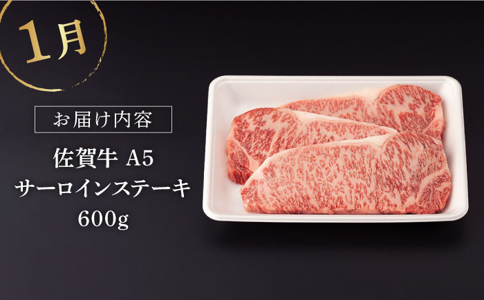 【3回定期便】佐賀牛 冬の定期便 極コース 【桑原畜産】[NAB109]  牛肉 佐賀県産 黒毛和牛 定期便