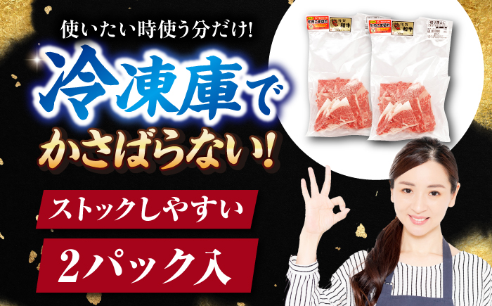 佐賀和牛 サラサラ 小間切れ (切落し)700g (350g×2) 【一ノ瀬畜産】 [NAC009] 牛肉 佐賀県産 黒毛和牛 切り落とし きりおとし