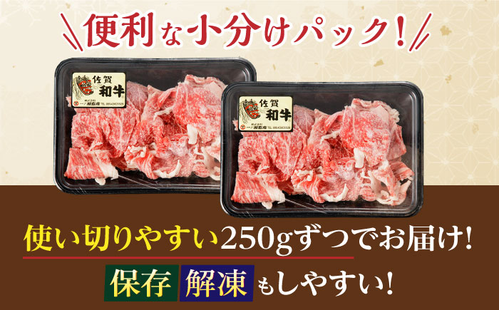 佐賀和牛 切り落とし 計500g(250g×2p)【一ノ瀬畜産】 [NAC030] 牛肉 佐賀県産 黒毛和牛 きりおとし