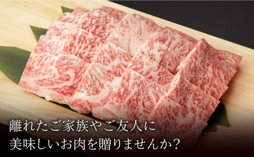 【3回定期便】 佐賀和牛 ロース 焼肉 1.1kg 【一ノ瀬畜産】 [NAC134] 牛肉 佐賀県産 黒毛和牛 焼肉 BBQ バーベキュー 定期便