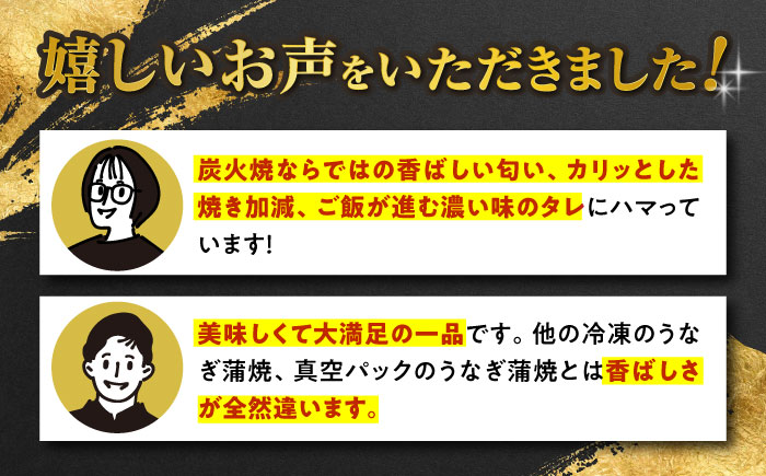 【6回定期便】 手焼き 炭火焼き うなぎ 蒲焼 (4尾・タレ付き) 【中野鮮魚店】[NAI005] ウナギ 鰻 国産 炭火焼 蒲焼き