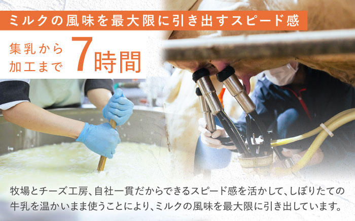 【2月発送】ナカシマファームのおすすめチーズ 6種セット[NAJ004] ナカシマファーム 酪農家 手づくりチーズ 食べくらべ 詰め合わせ