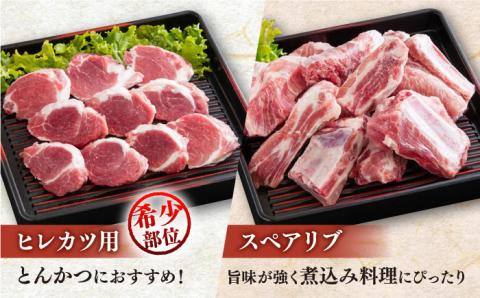 肥前有明豚 6種 バラエティセット 総計5kg【くすのきファーム】 [NAS002] 豚肉 切り落とし ミンチ 豚肉バラエティセット 豚肉 切り落とし ミンチ 豚肉バラエティセット