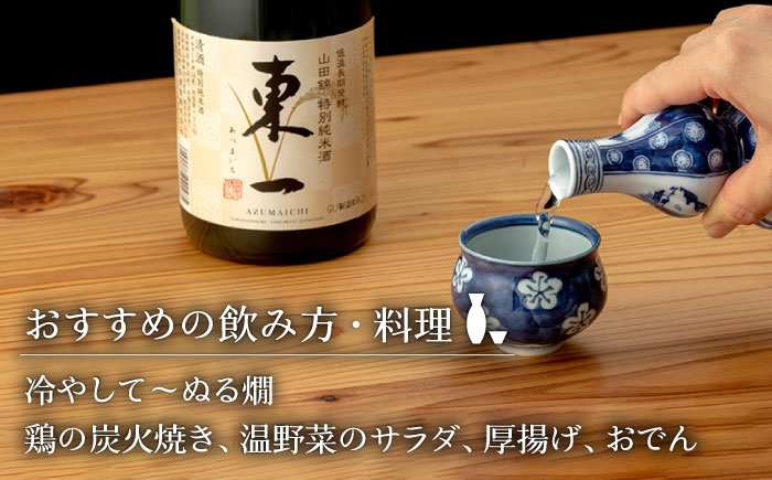 東一 山田錦特別純米酒・純米吟醸酒720ml2本 【嬉野酒店】 [NBQ002] 五町田酒造 日本酒 酒 日本酒飲みくらべ