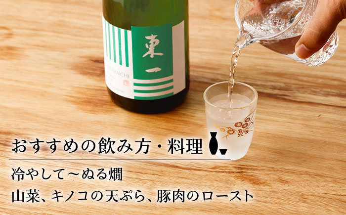 【6回定期便】東一 純米吟醸 1.8L 1本 【嬉野酒店】 [NBQ108] 五町田酒造 日本酒 酒