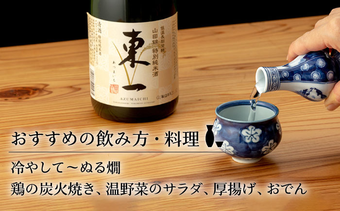 【6回定期便】東一 山田錦特別純米酒 1.8L 1本 【嬉野酒店】 [NBQ114] 五町田酒造 日本酒 酒