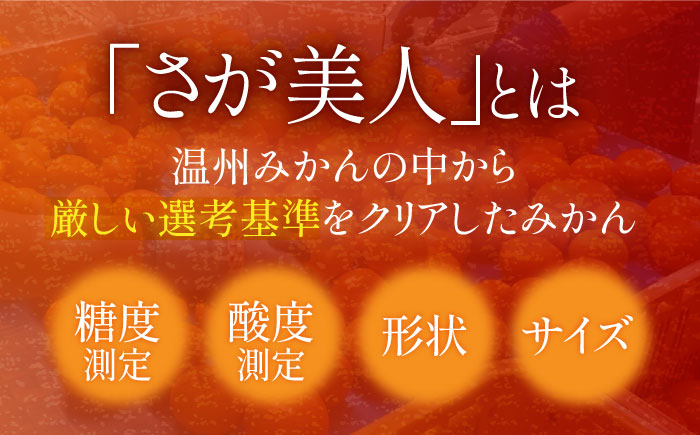 【先行予約】佐賀みかん「さが美人」 5㎏ 【JAさが】 [NCR002] みかん ミカン 蜜柑 温州みかん
