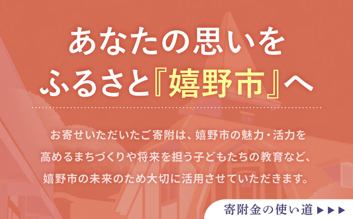 【返礼品なし】佐賀県嬉野市 まちづくり応援寄附金（4,000円分） [NZY954]