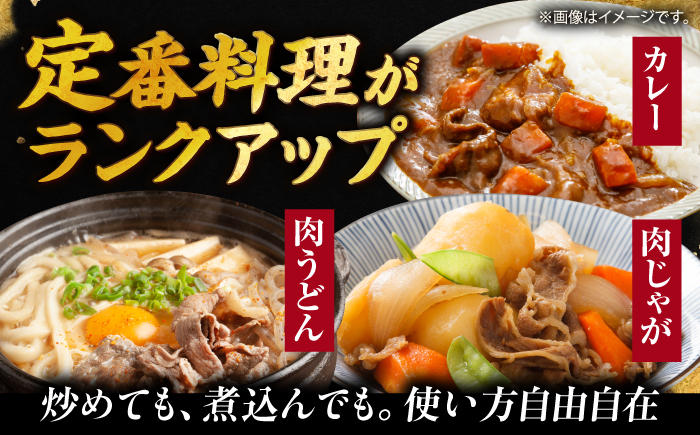 佐賀和牛 サラサラ 小間切れ (切落し)700g (350g×2) 【一ノ瀬畜産】 [NAC009] 牛肉 佐賀県産 黒毛和牛 切り落とし きりおとし