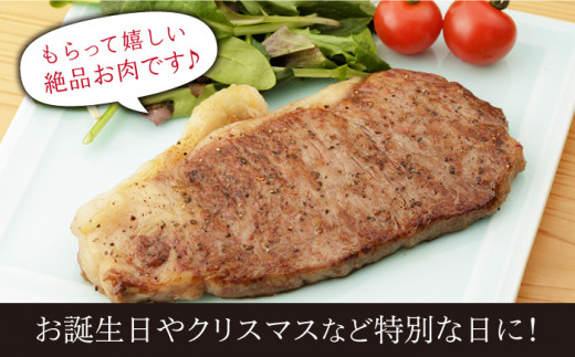 佐賀和牛 ロース 厚切り 切落し600g (300g×2) 【一ノ瀬畜産】 [NAC012] 牛肉 佐賀県産 黒毛和牛 焼肉 BBQ バーベキュー