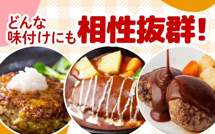 嬉しいハンバーグ 5個セット【一ノ瀬畜産】 [NAC034]