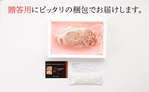 【6回定期便】 佐賀和牛 ロース ブロック 1kg 【一ノ瀬畜産】 [NAC132] 牛肉 佐賀県産 黒毛和牛 ブロック肉 ステーキ 焼肉 BBQ バーベキュー 定期便