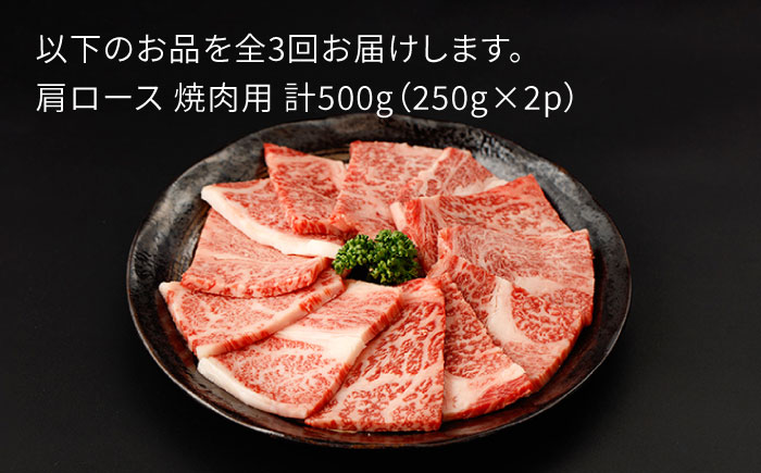【3回定期便】佐賀牛 肩ロース 焼肉用 計500g（250g×2p）【一ノ瀬畜産】 [NAC152]  牛肉 佐賀県産 黒毛和牛 焼肉 BBQ バーベキュー 定期便