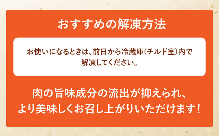 【12回定期便】佐賀和牛 切り落とし 計500g(250g×2p)【一ノ瀬畜産】 [NAC164] 佐賀県産 黒毛和牛 牛肉 きりおとし 定期便