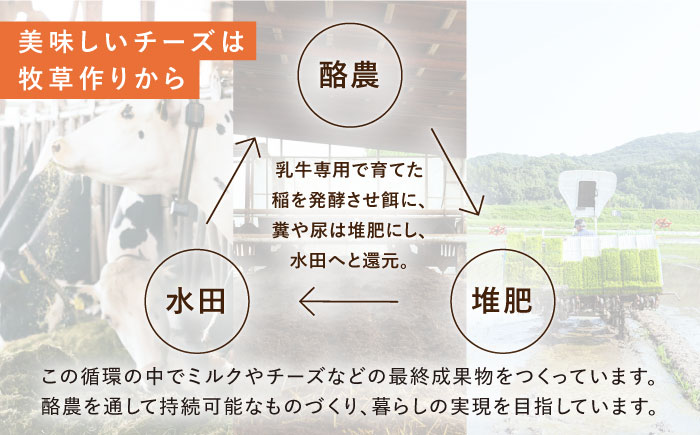 【2月発送】〈酪農家の手作り〉うれしのフレッシュチーズ5種セット【ナカシマファーム】 [NAJ009] ナカシマファーム 酪農家 手づくりチーズ 食べくらべ 詰め合わせ