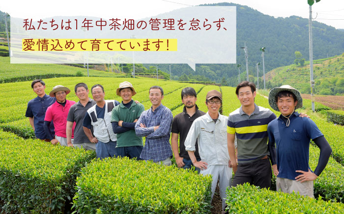 うれしの紅茶 5種 飲み比べセット B【うれしの紅茶振興協議会】 [NAP006]