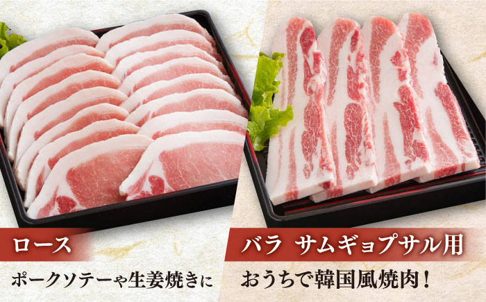 【12回定期便】肥前有明豚 6種 バラエティセット 総計60㎏【くすのきファーム】 [NAS106] 豚肉 切り落とし ミンチ 豚肉バラエティセット 豚肉 切り落とし ミンチ 豚肉バラエティセット