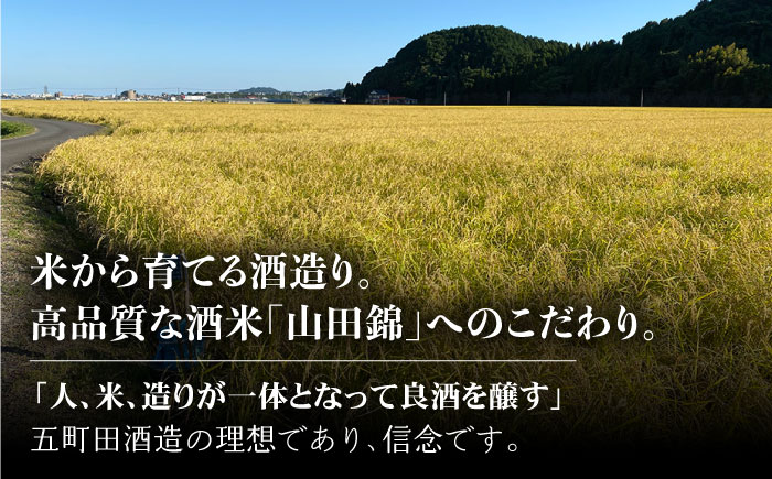 東一 大吟醸 1.8L 1本 【嬉野酒店】 [NBQ053] 五町田酒造 日本酒 酒