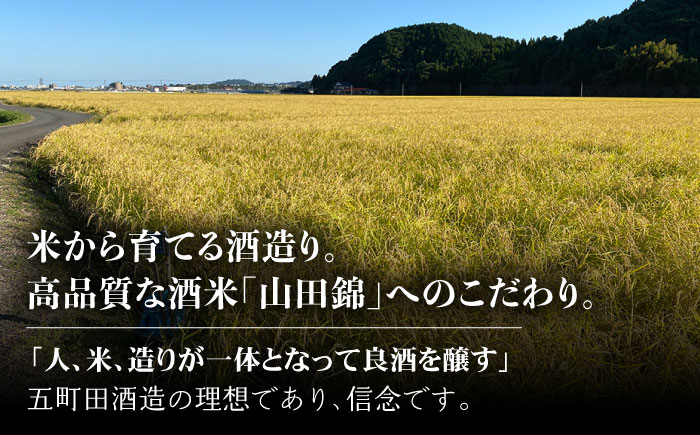 【3回定期便】東一 山田錦特別純米酒 1.8L 1本 【嬉野酒店】 [NBQ113] 五町田酒造 日本酒 酒