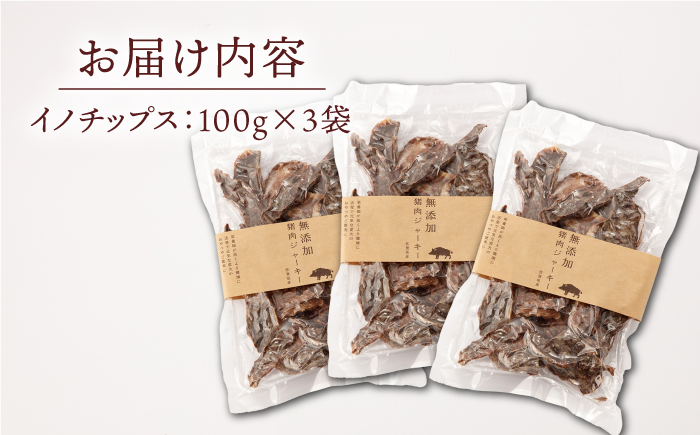 イノチップス 3袋セット【太田製作所】 [NCF002]