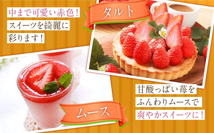 【先行予約】いちごさん　約240ｇ×4パック【JAさが】 [NCR001] いちご イチゴ 苺 ブランド苺