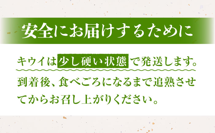 【先行予約】佐賀県産キウイフルーツ 「ヘイワード」　3.6㎏ 【JAさが】 [NCR003] キウイ キウイフルーツ