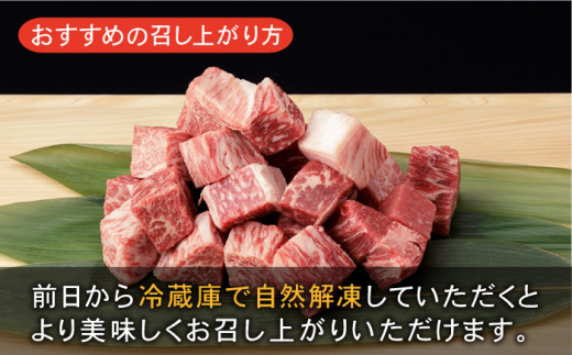 佐賀和牛 コロコロ 切落し 600g (300g ×2袋) 【一ノ瀬畜産】 [NAC003] 牛肉 佐賀県産 黒毛和牛 切り落とし きりおとし