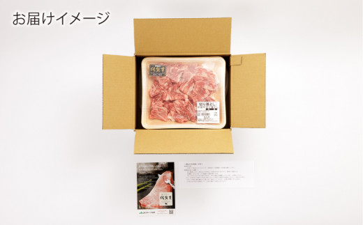 佐賀牛 切り落とし (小間切) 900g (300g×3) 【一ノ瀬畜産】 [NAC016] 牛肉 佐賀県産 黒毛和牛 切落し きりおとし