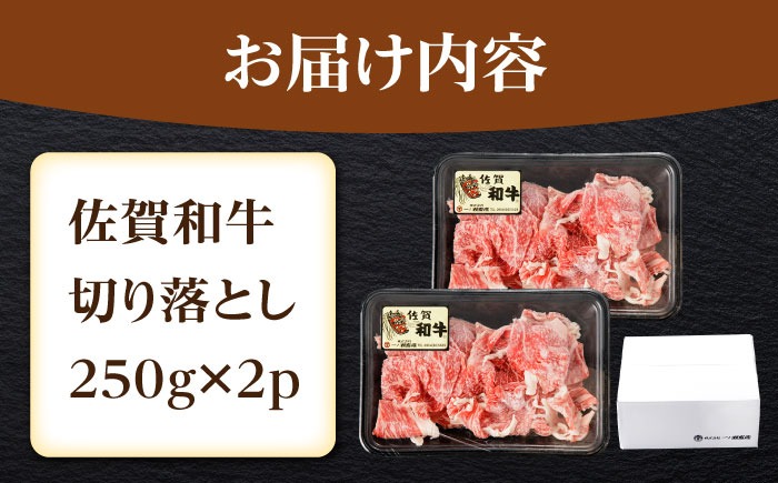 佐賀和牛 切り落とし 計500g(250g×2p)【一ノ瀬畜産】 [NAC030] 牛肉 佐賀県産 黒毛和牛 きりおとし